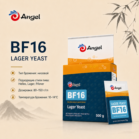 ANGEL CZECH PILSNER (BF16)