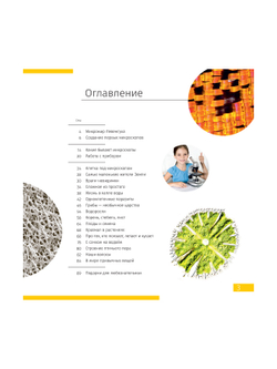 Книга знаний «Невидимый мир»