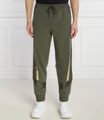 Спортивные штаны Hadikon BOSS GREEN - зеленый(50504888)