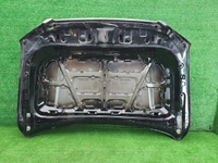 Капот Tank 500 (2021-н.в.)