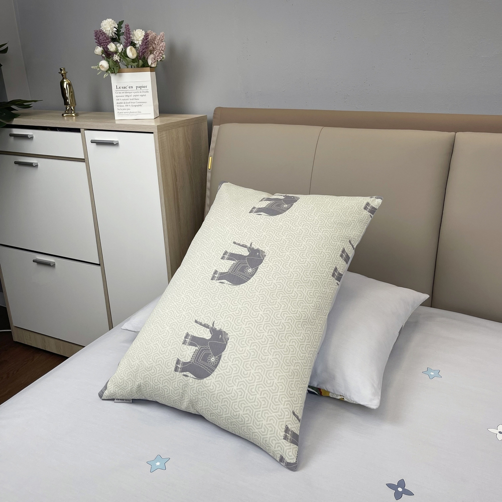 Комплект постельного белья Сатин 100% хлопок C649