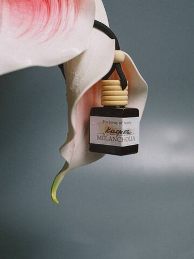 Автодиффузор «Кафка»