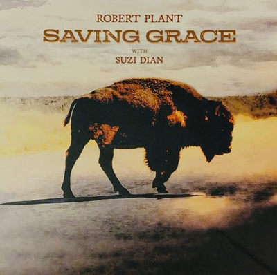 4. Plant Robert - Saving Grace