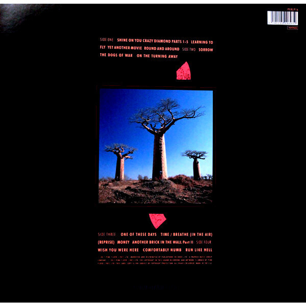 Pink Floyd / Delicate Sound Of Thunder (2LP)