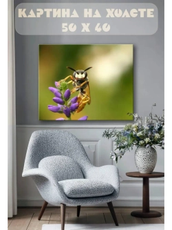Картина на стену 40 X 50 Насекомое и цветок