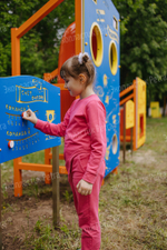 Уличный модуль Счёт очков