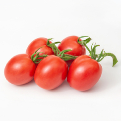 Гламур F1 семена томата индетерминантного (Гавриш)