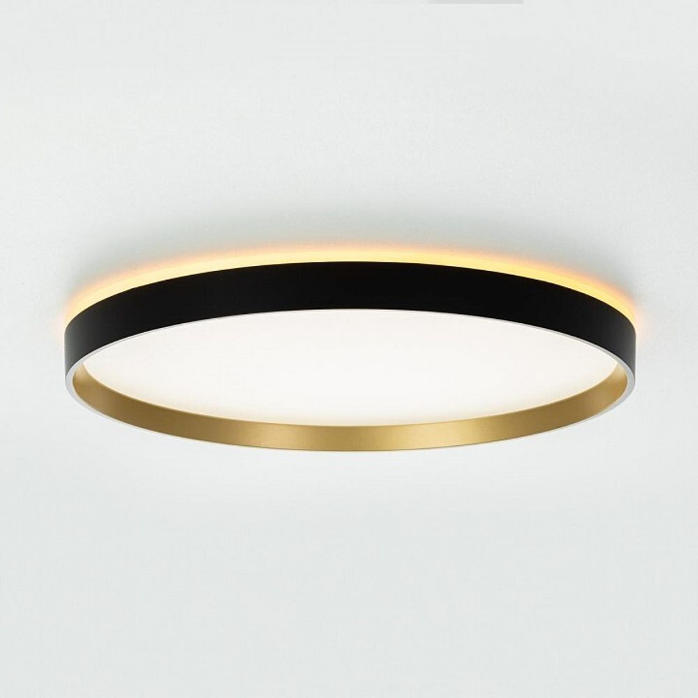 Накладной светильник Citilux ETALON CL750401R