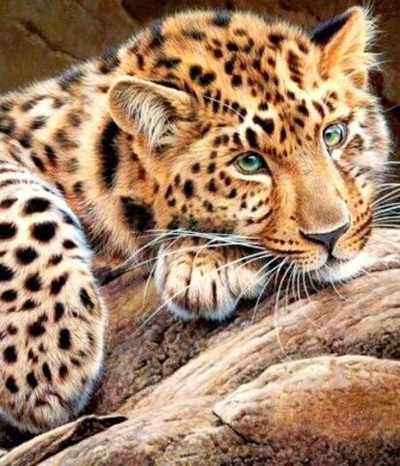 Алмаз.мозаика 35*45см Ягуар