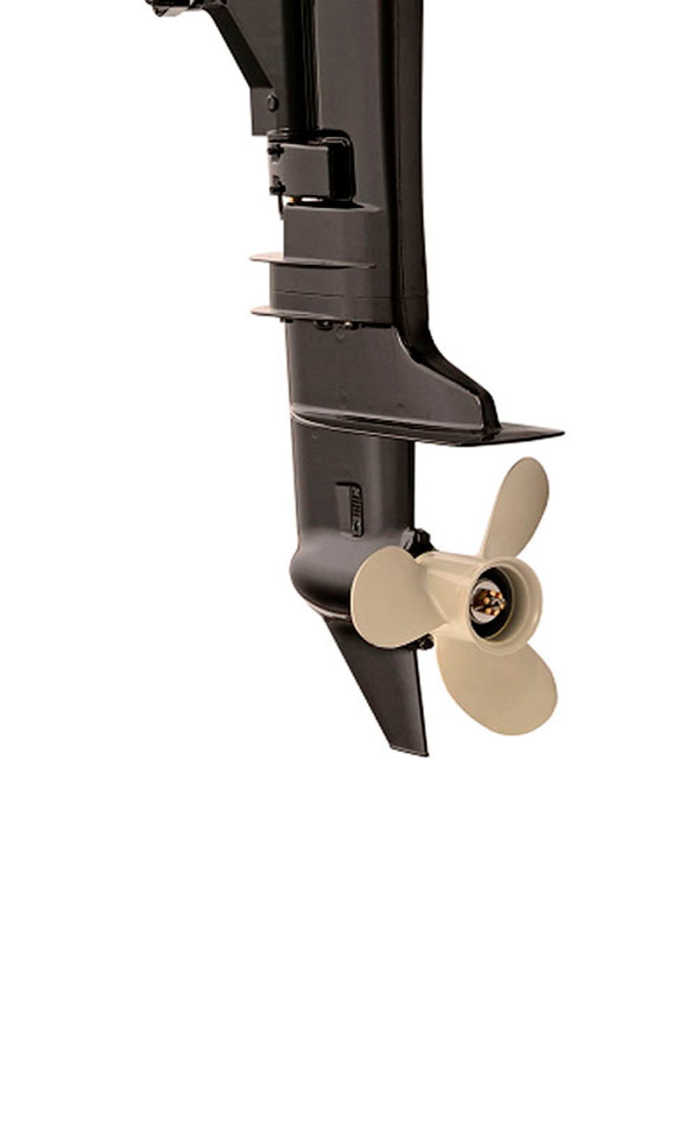 2х-тактный лодочный мотор WATERMAN T8 BMS