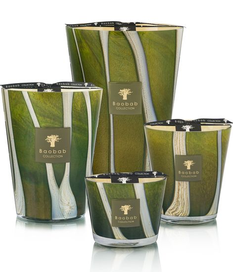 Sherwood, свеча MAX 10 Sacred Trees collection, Baobab Collection