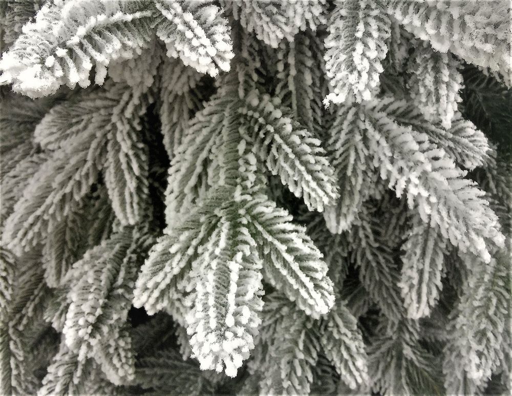 Заснеженная елка «Моника» (Литая хвоя) 270 см / 2,7 м