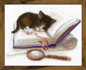"Котенок на книжке"-1725 вышивка