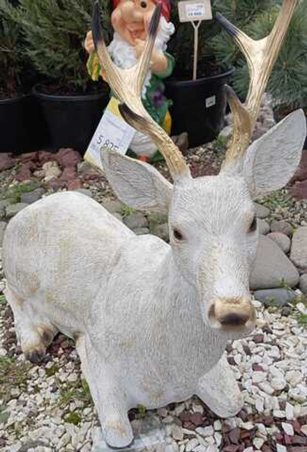 Косуля лежит (U 09016 - WG)