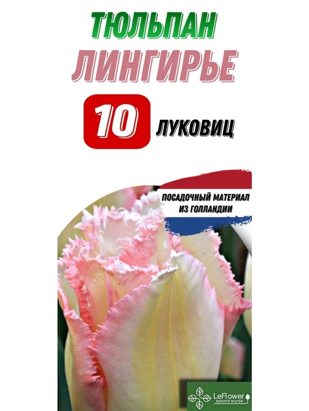 Тюльпан Луковица, Лингирье, 10шт