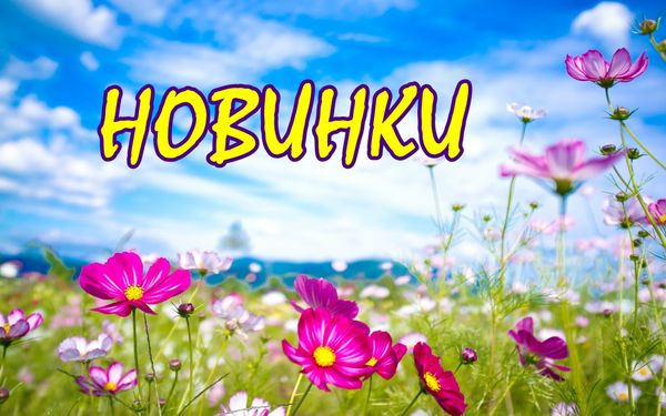 Новое поступление