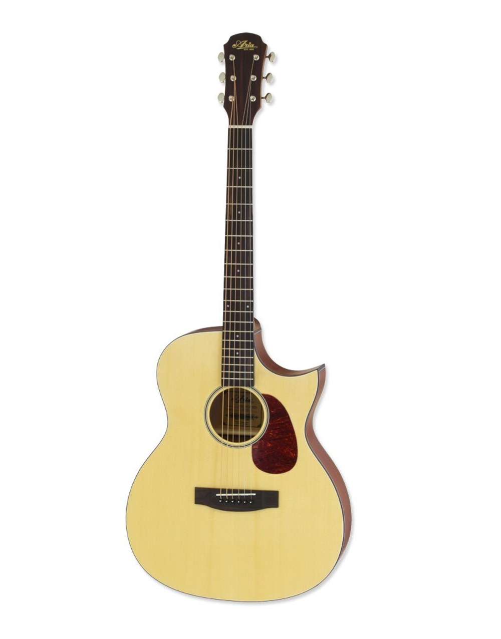 ARIA ARIA-101CE Matte Natural