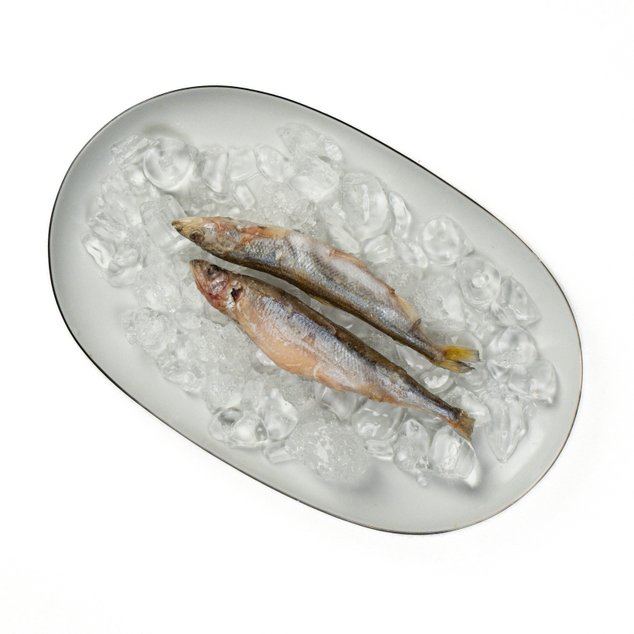 Корюшка н/р 16+