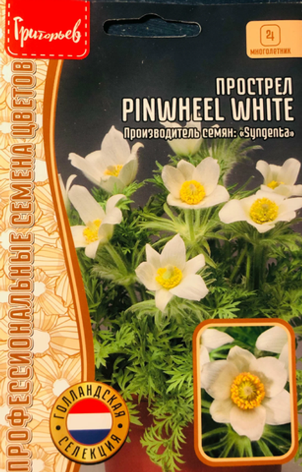 Прострел Pinwheel White 3шт ЧК