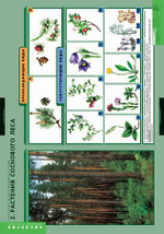 Комплект таблиц "Растения и окружающая среда" (7 табл.)