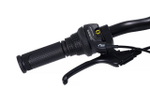 Maxiscoo "7BIKE" 24'' M300 (2024)