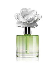 Gardenia Breeze, ароматический диффузор с необычными палочками, Chando
