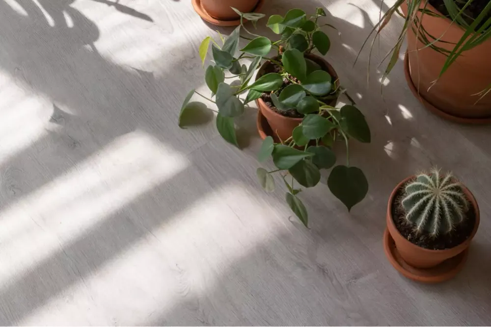 Vinilam Click Дуб Ален, 3,09 м²