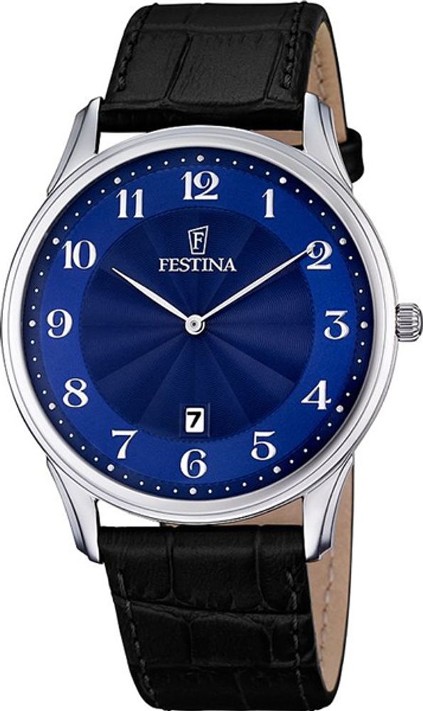 Мужские наручные часы Festina F6851/3