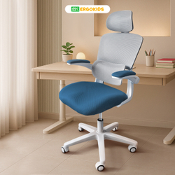 Детское кресло Ergokids Teen (T - 1)