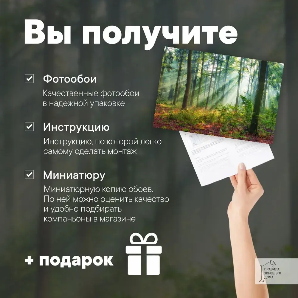 Фотообои на стену флизелиновые 3d 400х270 Лес Природа. 3д фото обои для кухни моющиеся виниловые, интерьерное покрытие 3d эффект в спальню, декор для дома