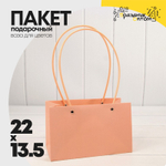 Пакет подарочный 22х13,5х10,5 Ваза для цветов (Персиковый)