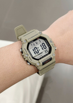 Часы Casio AE-1600H-5A
