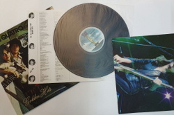Винтажная виниловая пластинка LP Suzi Quatro The Suzi Quatro Story Golden Hits Poster (Japan 1975) (No Obi)