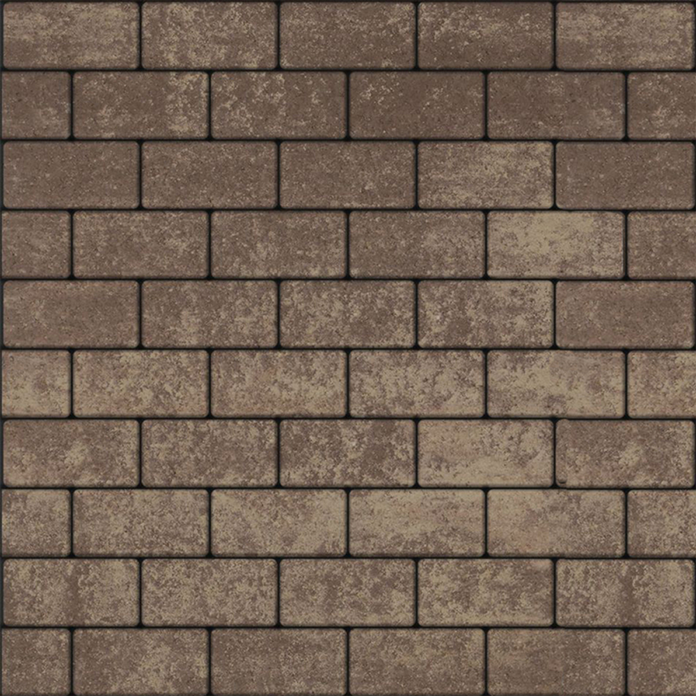 Тротуарная плитка ПРЯМОУГОЛЬНИК 200x100 мм - Листопад гладкий Хаски