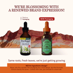 Herbs Etc., ChlorOxygen®, оригинальный вкус, без спирта, 59 мл (2 жидк. унции)