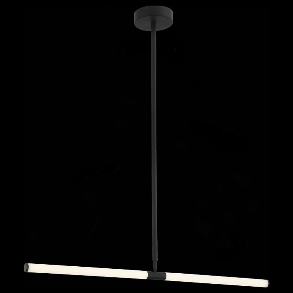 Светильник на штанге ST-Luce Bisaria SL393.403.02