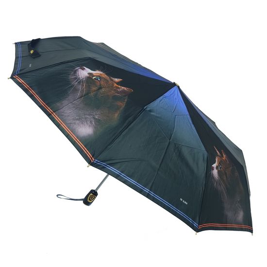 Женский зонт Три Слона Полный автомат 3102-G-01