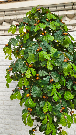 Дуб 240см в техническом кашпо