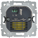 BRITE Розетка USB C 65Вт высокоскоростная зарядка РЮ12-1-БрС сталь IEK