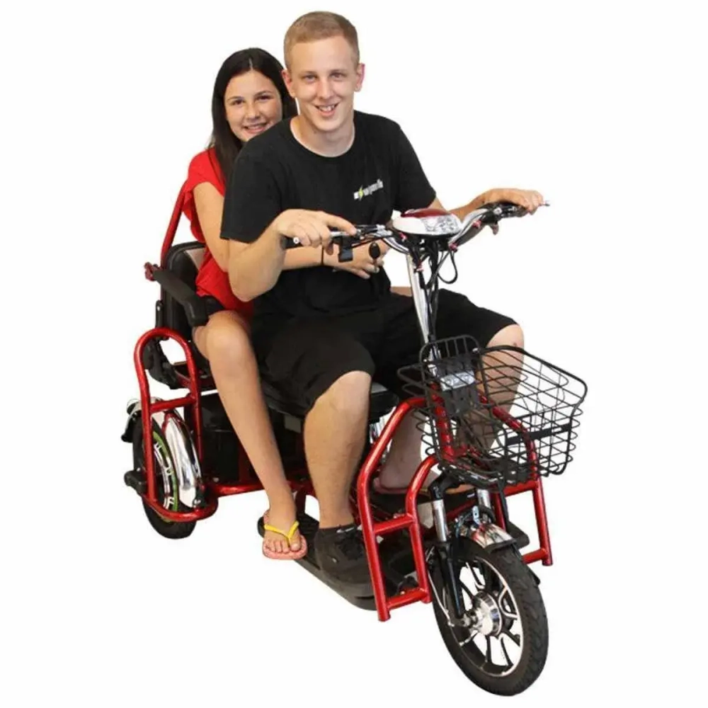 Электротрицикл Elbike Адъютант А3 350W