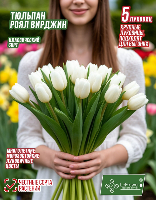 Тюльпан Луковица, Роял вирджин 5 шт крупные