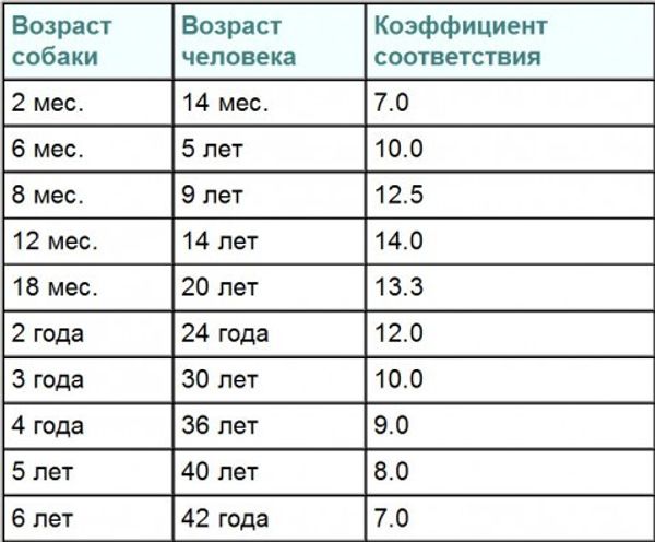 Сравнение возраста человека и собаки
