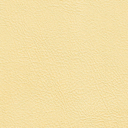 Искусственная кожа Bielastisch (Биеластиш) 238-2438