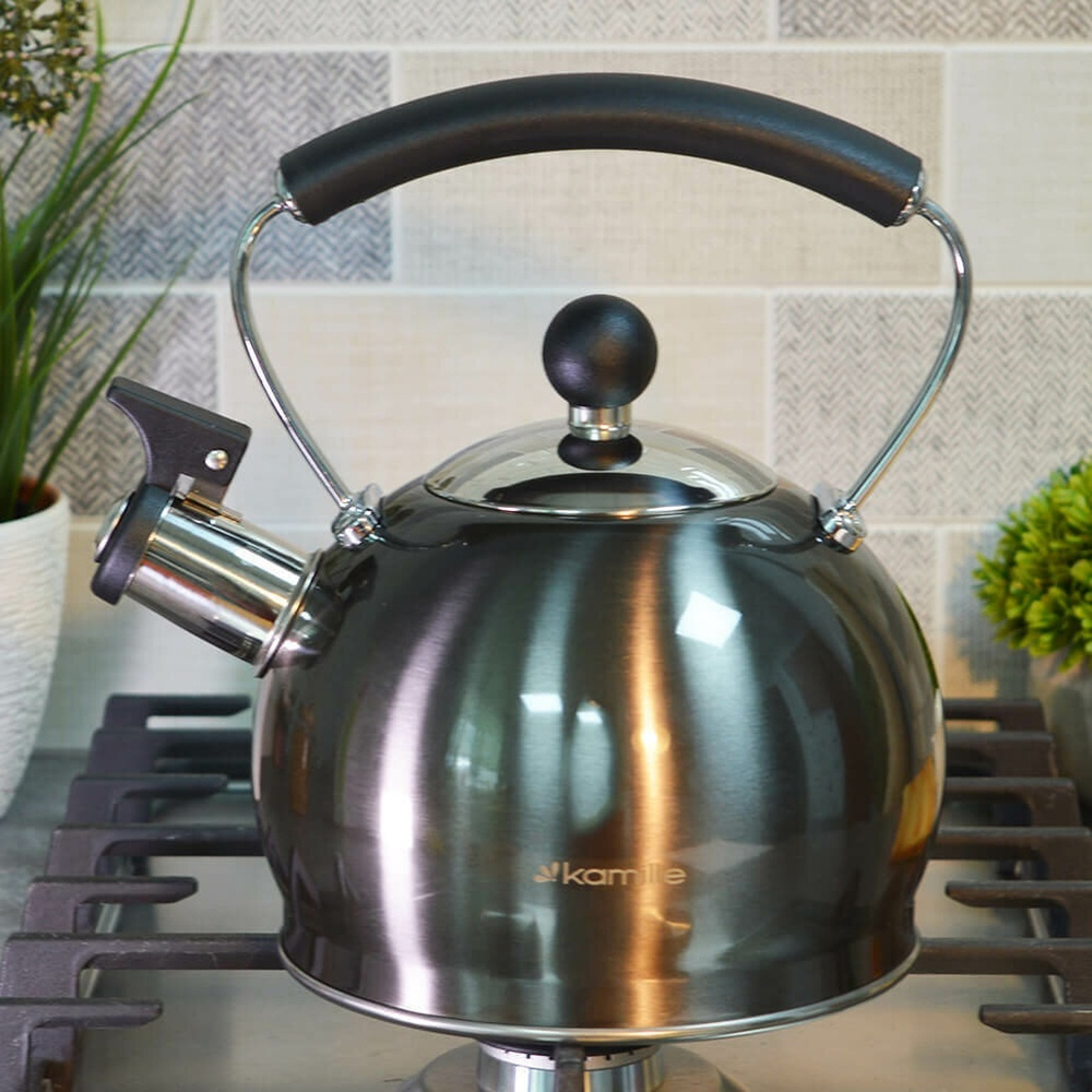 Чайник 2л нерж со свистком, ручка с нейлоновой вставкой