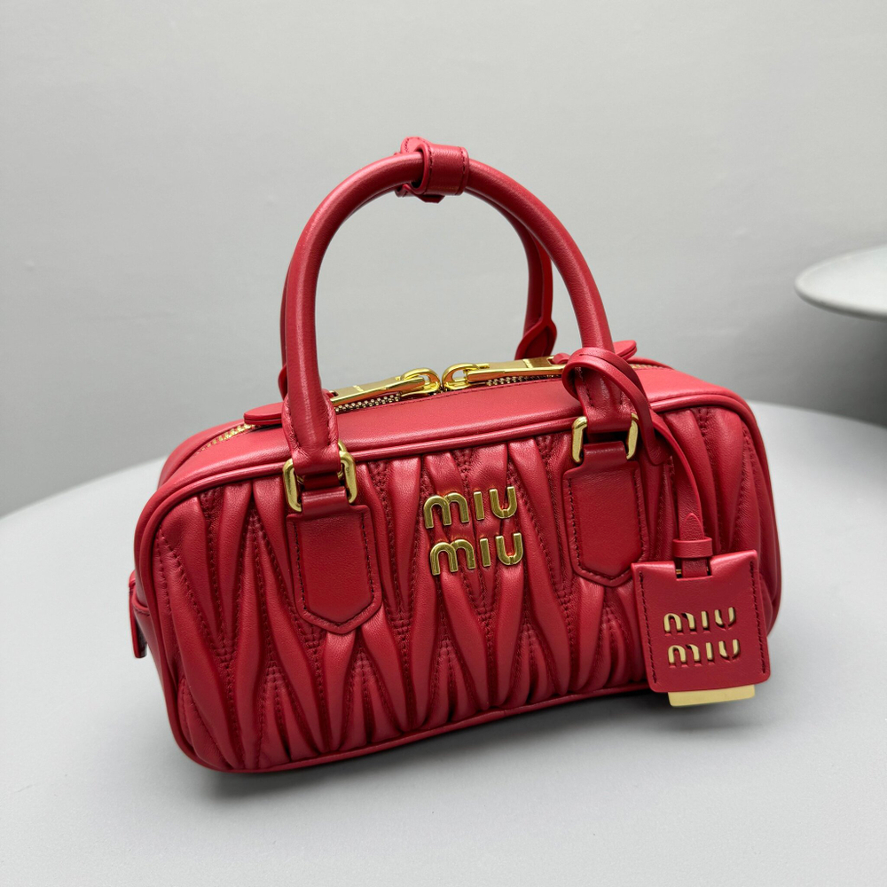 Miu Miu Arcadie Bag 22 cm