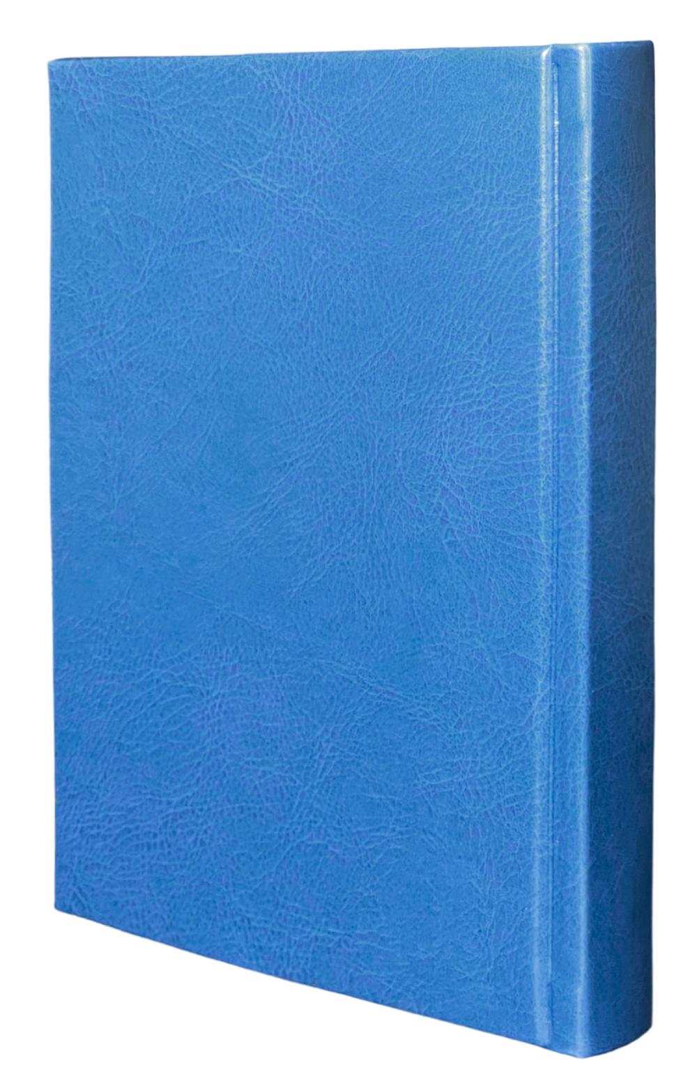 IMG_5067-Photoroom.png-Photoroom1