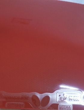 DIGNICS 09C (CHINA NAT. TEAM)