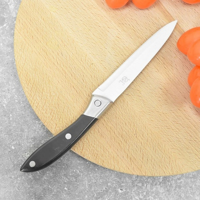 Нож столовый 666 С3 11/22,5см