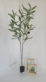 Олива премиум серебристая без плодов / Арт 1151