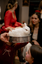 Цирк для Маши